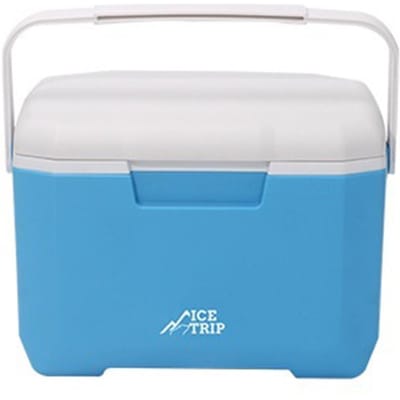 6L Lichtgewicht Koelbox Mini Koelkast Multifunctioneel Ruim Geïsoleerde Vriezer met Thermometer voor Kamperen Picknick CHINA white