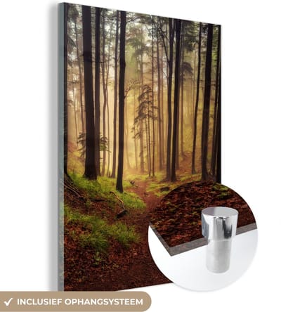 MuchoWow® Glasschilderij 30x40 cm - Schilderij acrylglas - Bomen - Natuur - Bos - Foto op glas - Schilderijen