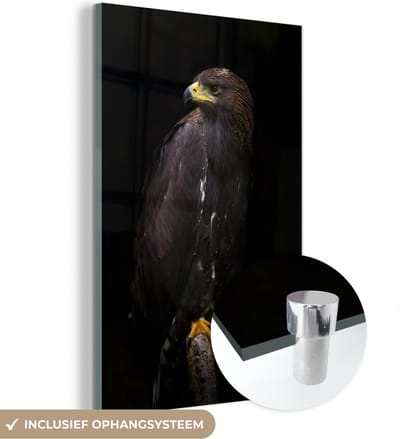 MuchoWow® Glasschilderij 40x60 cm - Schilderij acrylglas - Arend - Dier - Bruin - Foto op glas - Schilderijen