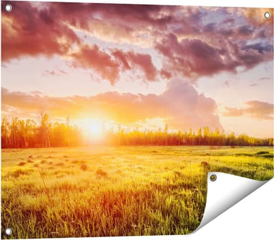 Gards Tuinposter Zonsopkomst in het Veld - 80x60 cm - Tuindoek - Tuindecoratie - Wanddecoratie buiten - Tuinschilderij
