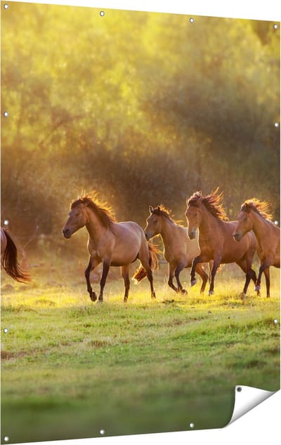 Gards Tuinposter Kudde Bruine Paarden in de Wei - 120x160 cm - Tuindoek - Tuindecoratie - Wanddecoratie buiten - Tuinschilderij