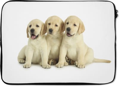 Laptophoes 13 inch - Drie labrador puppy's - Laptop sleeve - Binnenmaat 32x22,5 cm - Zwarte achterkant