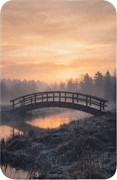 WC mat 40x60 cm - Antislip - Brug - Mist - Bomen - Water - Toiletmat - Vloermat - Douchemat - Toilet tapijt - Toiletmatten