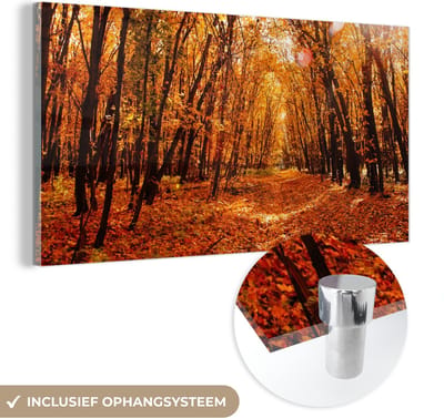 MuchoWow® Glasschilderij 40x20 cm - Schilderij acrylglas - Herfst - Bos - Bladeren - Seizoenen - Foto op glas - Schilderijen