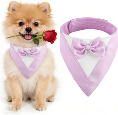 Mok voor Honden met Strik, Hondenhalsband voor Trouwen, Kostuum voor Kleine Honden, Perfect voor Verlovingen en Verjaardagen (Hals: 20-30cm, Paars)