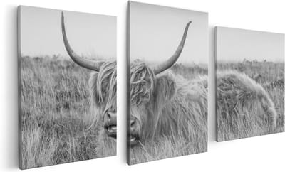 Artaza Canvas Schilderij Drieluik Schotse Hooglander Koe - Zwart Wit - 120x60 - Foto Op Canvas - Canvas Print