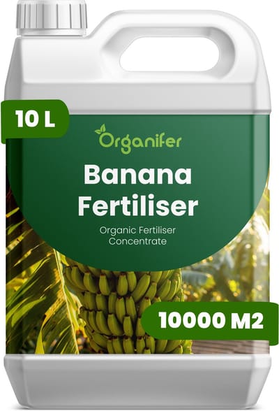 Vloeibare Meststof Voor Banaan 10 L Voor 10000 M2 - Npk 2-1-8 - Krachtige Groei - Tropisch Blad - Bladgrootte - Snelle Vegetatieve Ontwikkeling - Sterk Wortelstelsel - Hittebestendig - Felle Zon- Herstel Na Snoei - Organifer
