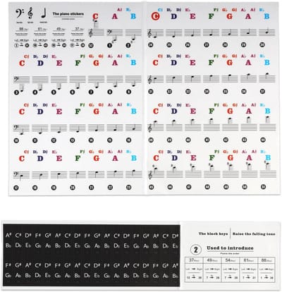 Transparante Piano Toetsen Stickers voor Beginners | Geschikt voor 37 t/m 88 Toetsen | Herbruikbaar