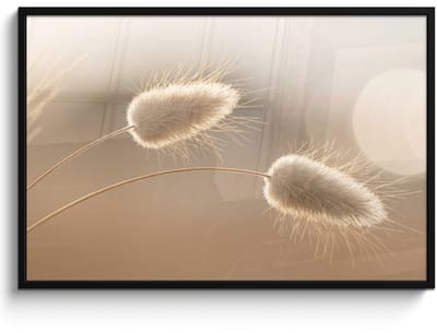 Poster in lijst - Fotolijst 120x80 cm - Posters - Hazestaartgras - Graanharen - Zonlicht - Posterlijst zwart - Decoratie - Wanddecoratie woonkamer - Muurdecoratie slaapkamer