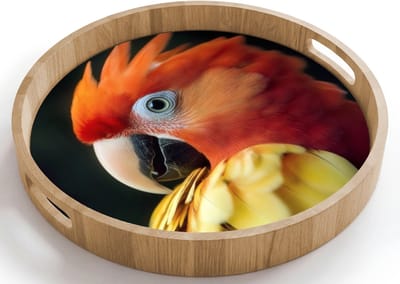 Dienblad rond 40x40 cm - Schootdienblad hout - Close-up - Papegaai - Veren - Oranje - Borrelplank rechthoek - Plateau houten dienbladen