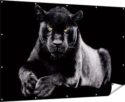 Gards Tuinposter Zwarte Panter - 180x120 cm - Tuindoek - Tuindecoratie - Wanddecoratie buiten - Tuinschilderij