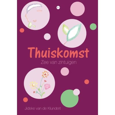 Thuiskomst - Jidske van de Klundert