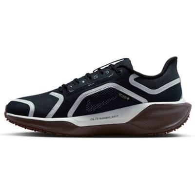 Hardloopschoenen voor dames Nike Pegasus 41 GORE-TEX