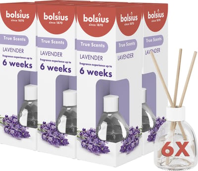 Bolsius True Scents - Geurstokjes - Lavendel - 6 stuks - Voordeelverpakking - 60ml