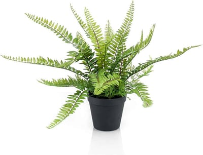 Emerald - Kunstplant in pot Varen struik 35cm - Kunstplant voor binnen