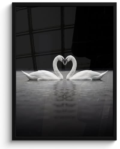 Poster in lijst - Fotolijst 60x80 cm - Posters - Zwanen - Hart - Zwart - Wit - Posterlijst zwart - Decoratie - Wanddecoratie woonkamer - Muurdecoratie slaapkamer