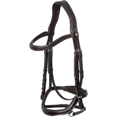 Anatomische hoofdstellen Equestro