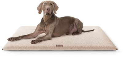 Knuffelwuff knuffelzachte hondenmat Calliope van teddystof 88x55 beige
