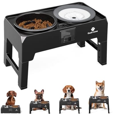Verhoogde Hond Kom met Stand - Voedsel en Water Bowl Set voor Grote, Medium en Kleine Honden