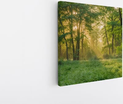 Saammp Canvas Schilderij - bos - Grote Bomen - Landschap - Natuur - 20x20 - Foto op canvas - Wanddecoratie - Muurdecoratie Woonkamer - Slaapkamer decoratie - Canvas Print