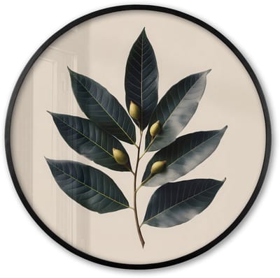 Poster in lijst Rond - Fotolijst 60x60 cm - Posters - Laurierbladeren - Bloemknoppen - subtiel - Ronde posterlijst zwart - Decoratie - Wanddecoratie woonkamer - Muurdecoratie slaapkamer