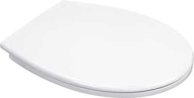 Luxe toilet bril met deksel