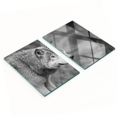 Set van twee decoratieve glazen keukenplanken, wolfgrijs, 2x40x52 cm