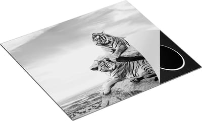 Chefcare Inductie Beschermer Twee Tijgers op Rotsen met het Blauwe Lucht - Zwart Wit - 60x50 cm - Afdekplaat Inductie - Kookplaat Beschermer - Inductie Mat