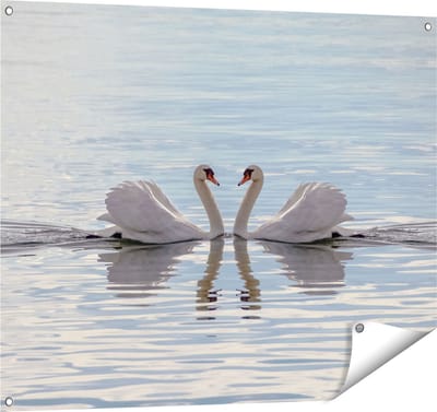 Gards Tuinposter Zwanen Koppel op het Water - 100x80 cm - Tuindoek - Tuindecoratie - Wanddecoratie buiten - Tuinschilderij