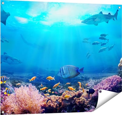 Gards Tuinposter Vissen met Haaien in de Oceaan met Koraalrif - 100x80 cm - Tuindoek - Tuindecoratie - Wanddecoratie buiten - Tuinschilderij