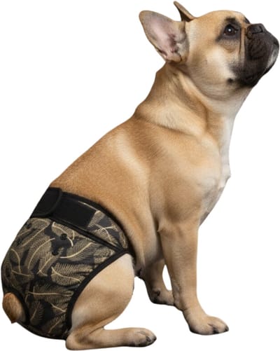 Loopsheidbroekje hond - Zwartgouden palm - Maat M - Hondenbroekje - Hondenluier - Machinewasbaar