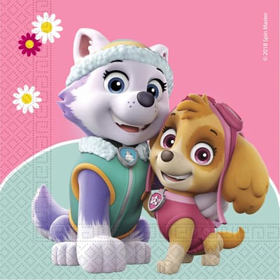 Vegaoo - 20 papieren Stella + Everest Paw Patrol servetten