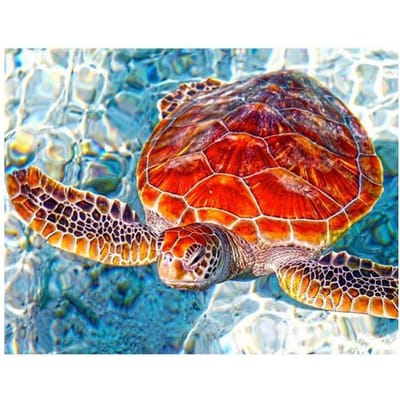 5D DIY Diamant Borduurwerk Volledig Rond Zee Schildpad Patronen Diamant Schilderen Kruissteek 20X30CM red