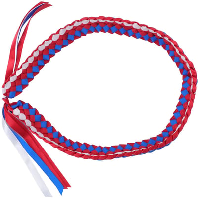 120CM Afstudeerlint Lei Verstelbare Handgemaakte 4-strengs Gevlochten Ketting voor Middelbare School Midden red