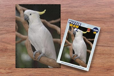 Puzzel Witte kaketoe met een gele kuif in een boom - Legpuzzel - Puzzel 1000 stukjes volwassenen