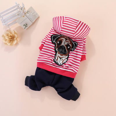 Automne et Hiver Nouveaux Vêtements à Quatre Pattes Brodés Polaire Chaud Vêtements pour Chien Animal de Compagnie Chat Vêtements Fournitures Vêtements Teddy XXL