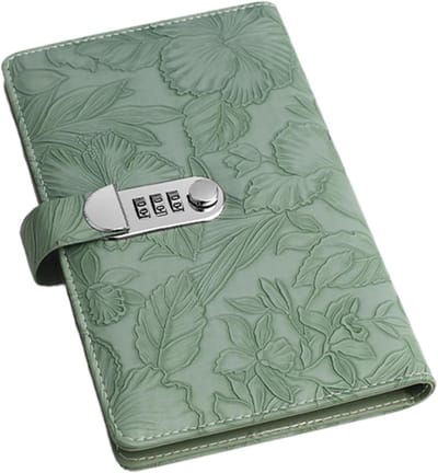Spaarpot met slot - Budget planner - Geld beheren - Combinatieslot - 24 x 15 cm - Groen