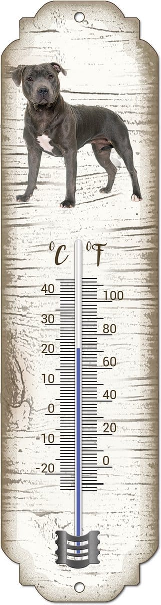 Thermometer: Engelse Staffordshire Bull Terriër | Hondenras | Temperatuur binnen en buiten | -25 tot +45C