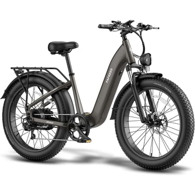 FAFREES F26 ROVER Elektrische Fiets 48V 20AH Batterij 250W Motor zwart