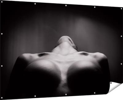 Gards Tuinposter Vrouwen Borsten - Erotiek - Zwart Wit - 180x120 cm - Tuindoek - Tuindecoratie - Wanddecoratie buiten - Tuinschilderij