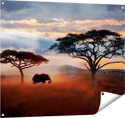 Gards Tuinposter Olifant in het Wild - Savanne - 100x80 cm - Tuindoek - Tuindecoratie - Wanddecoratie buiten - Tuinschilderij