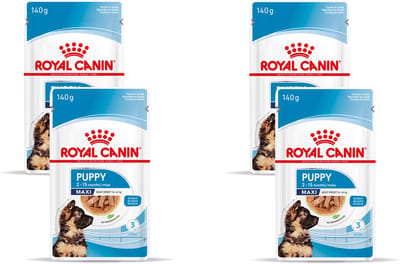Royal Canin - Maxi Puppy Hondenvoer Nat - 40 x 140 gr