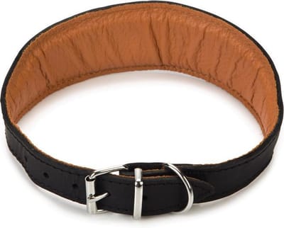 Beeztees Rondo Windhond - Hondenhalsband - 42-50 cm x 50 mm