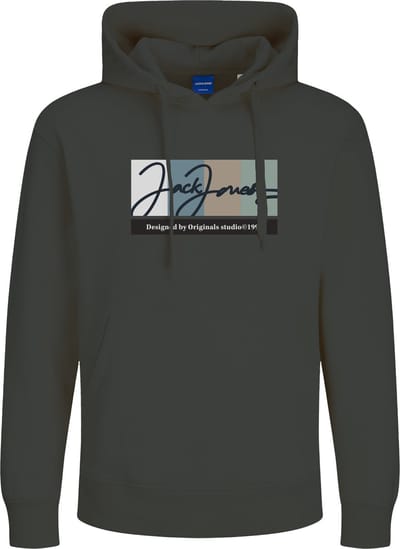 JACK&JONES PLUS JORPORTLAND BLOCK BRANDING SWEAT PLS Heren Trui - Forest River