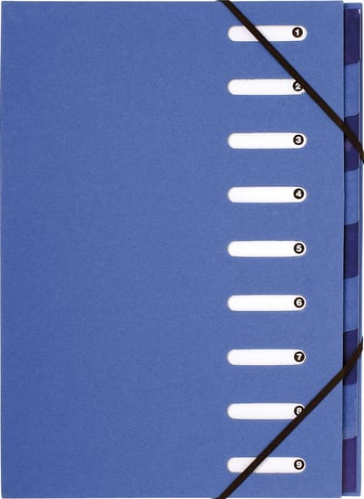 Exacompta 6x Sorteermap HARMONIKA® FOREVER® 270g/m2 - 9 indelingen - uitgesneden vensters - Lichtblauw - 52982E