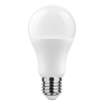 Technik E27 LED Lamp 13.7W - 1350lm - 6000K - Daglicht Wit - LED Globe A60 - Vervangt 91W Halogeen Gloeilamp