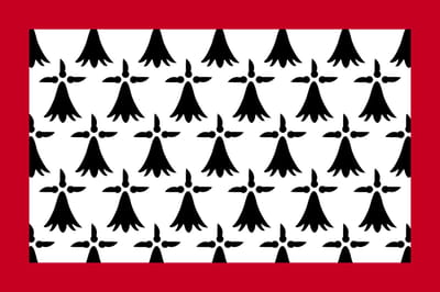 Vlag Limousin 100x150cm