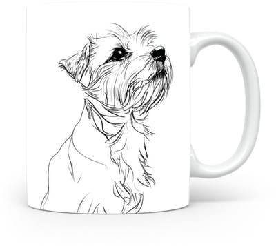 Beker Norfolk Terrier