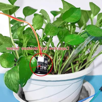 Automatische Irrigatie Kit voor Tuin, DIY Watergeefsysteem met Vochtigheidssensoren en Mini Waterpompen, Inclusief PVC Slang en Relais