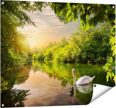 Gards Tuinposter Zwaan op het Water in het Bos - 100x80 cm - Tuindoek - Tuindecoratie - Wanddecoratie buiten - Tuinschilderij